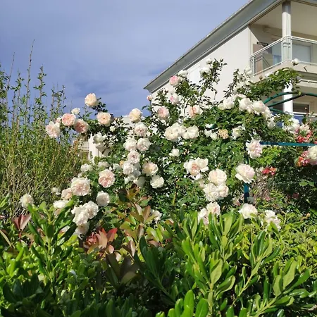 Apartamento With Pool, Parking, Close To The *